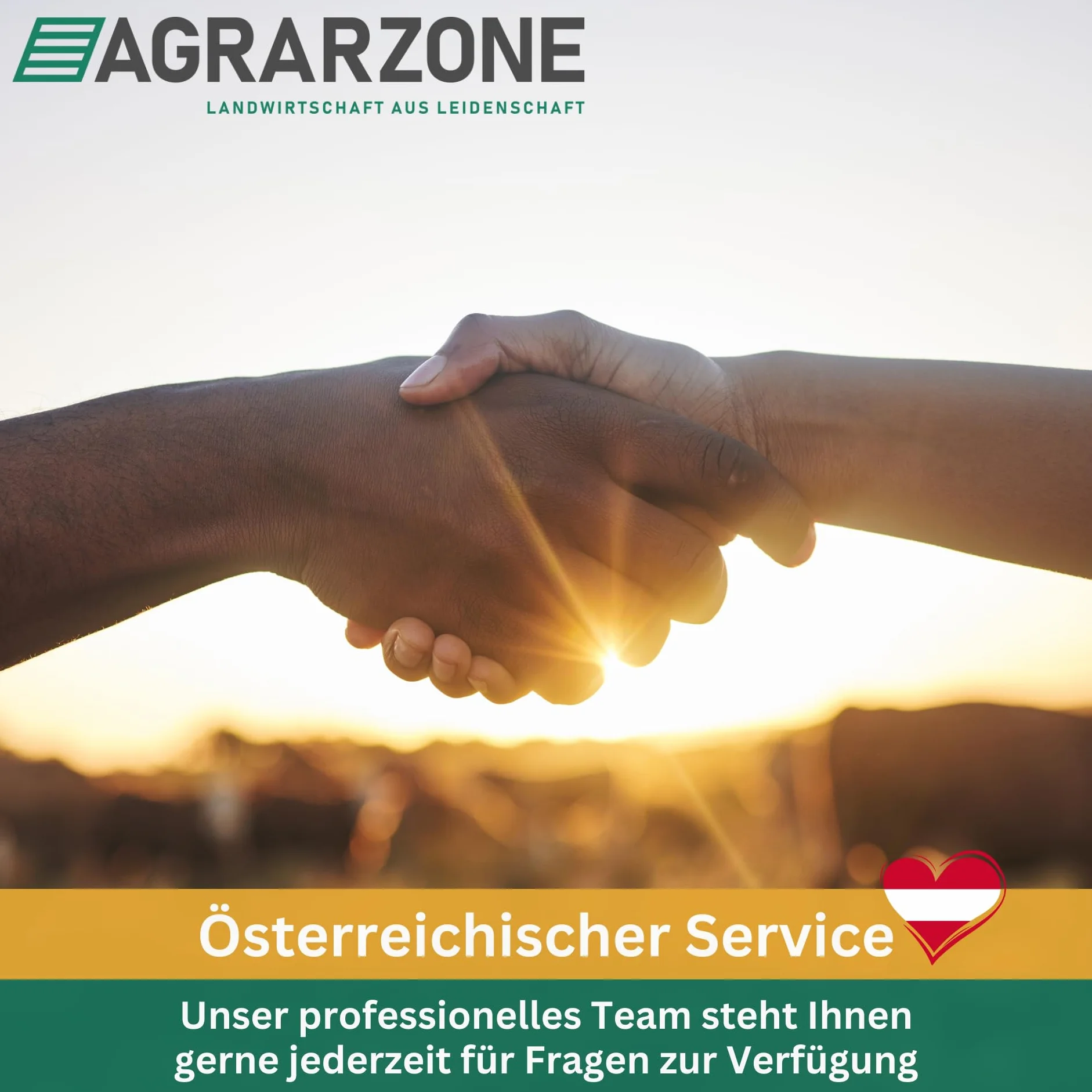 Agrarzone siatka dla owiec ogrodzenie elektryczne dla owiec zielone 50m x 108cm | Elektryczne ogrodzenie pastwiska z podwójnym szpikulcem i palikami | Ogrodzenie ochronne dla owiec kóz jagniąt