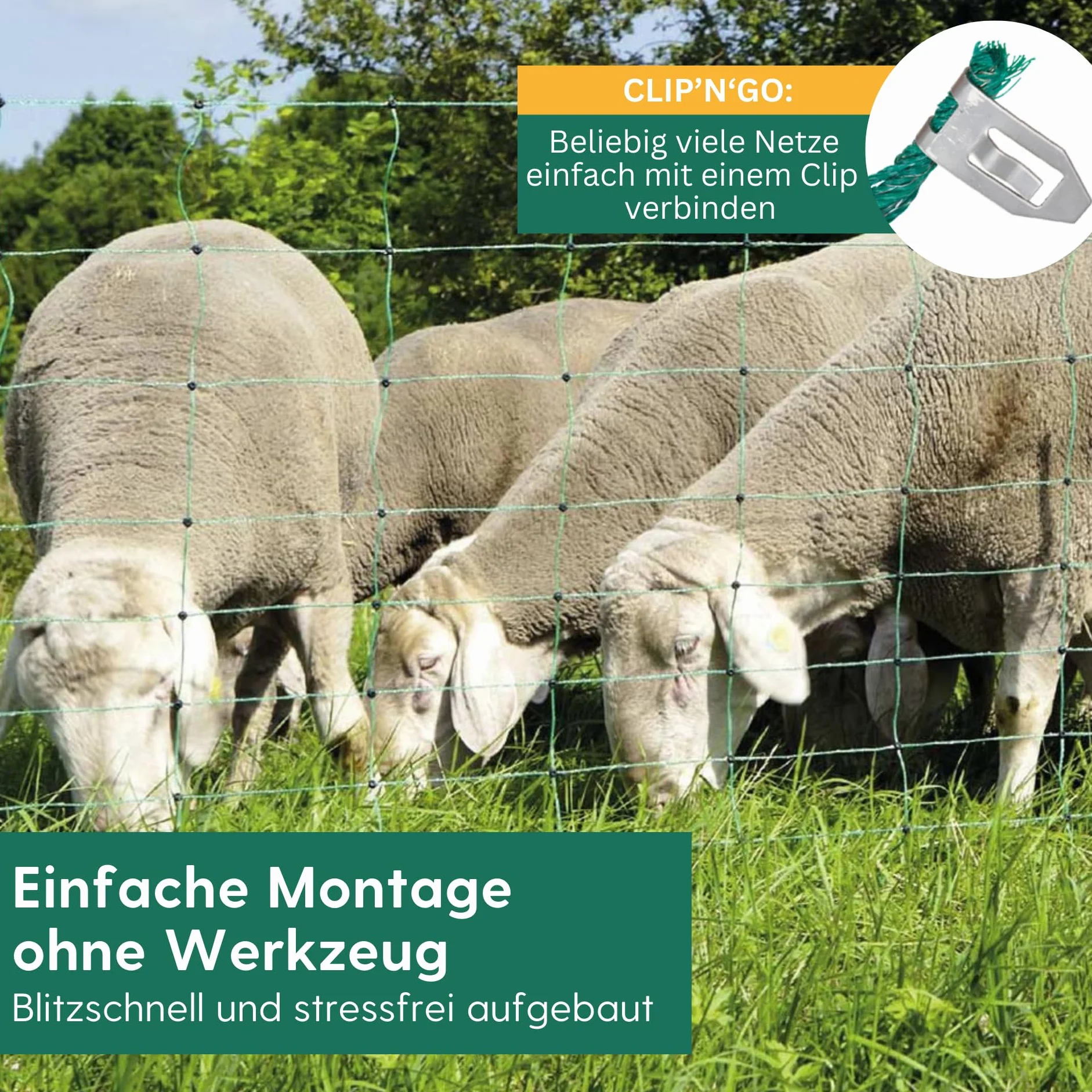 Agrarzone siatka dla owiec ogrodzenie elektryczne dla owiec zielone 50m x 108cm | Elektryczne ogrodzenie pastwiska z podwójnym szpikulcem i palikami | Ogrodzenie ochronne dla owiec kóz jagniąt
