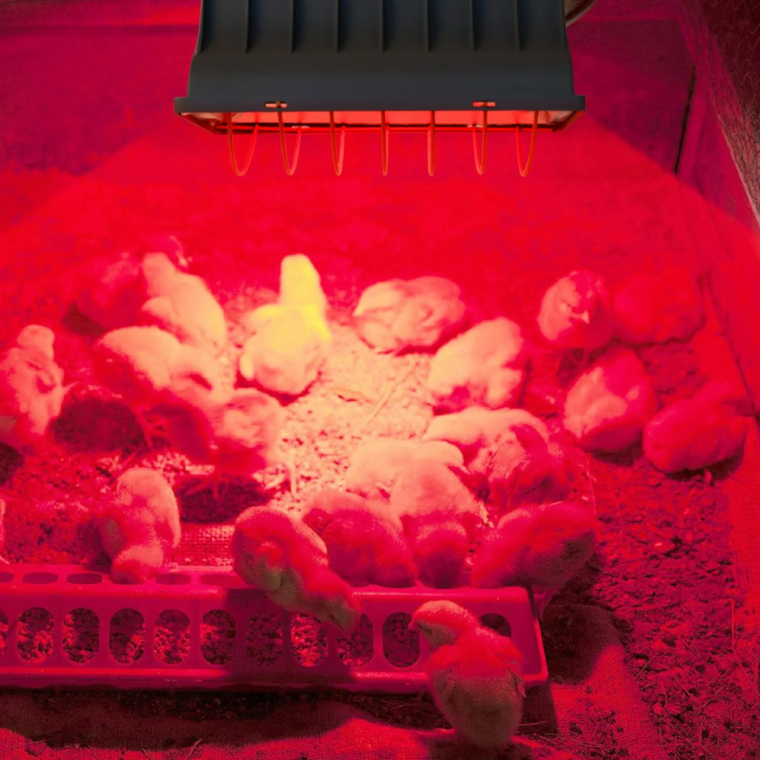 Aicharynic Lampa grzewcza 1,8 m, promiennik ciepła z wtyczką EU, czerwone światło z przełącznikiem, lampa grzewcza dla zwierząt, lampa grzewcza dla kurników, lampa na podczerwień dla piskląt, prosiąt