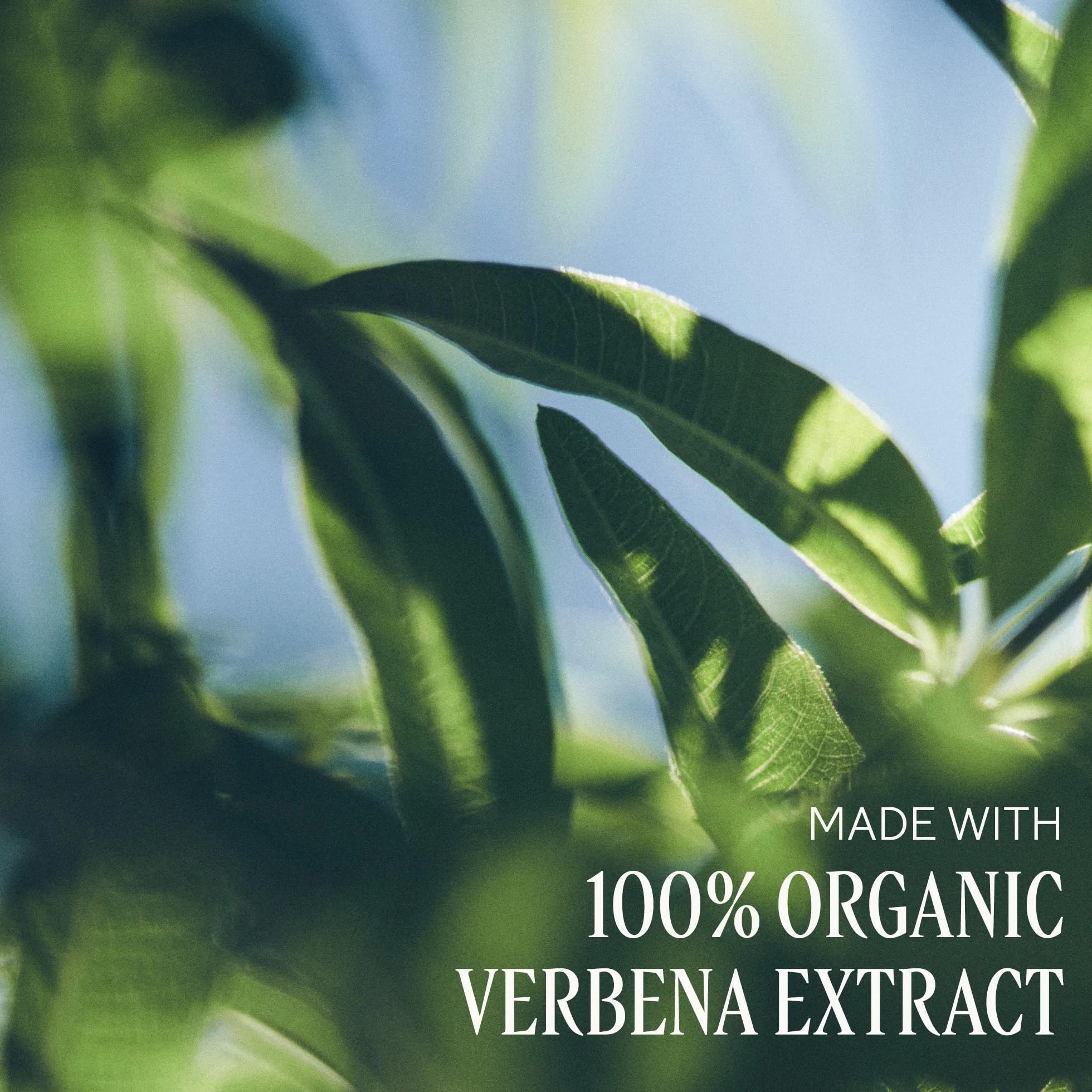 L'OCCITANE Mydło w płynie Verbena (Verveine), 500 ml, wyprodukowane we Francji