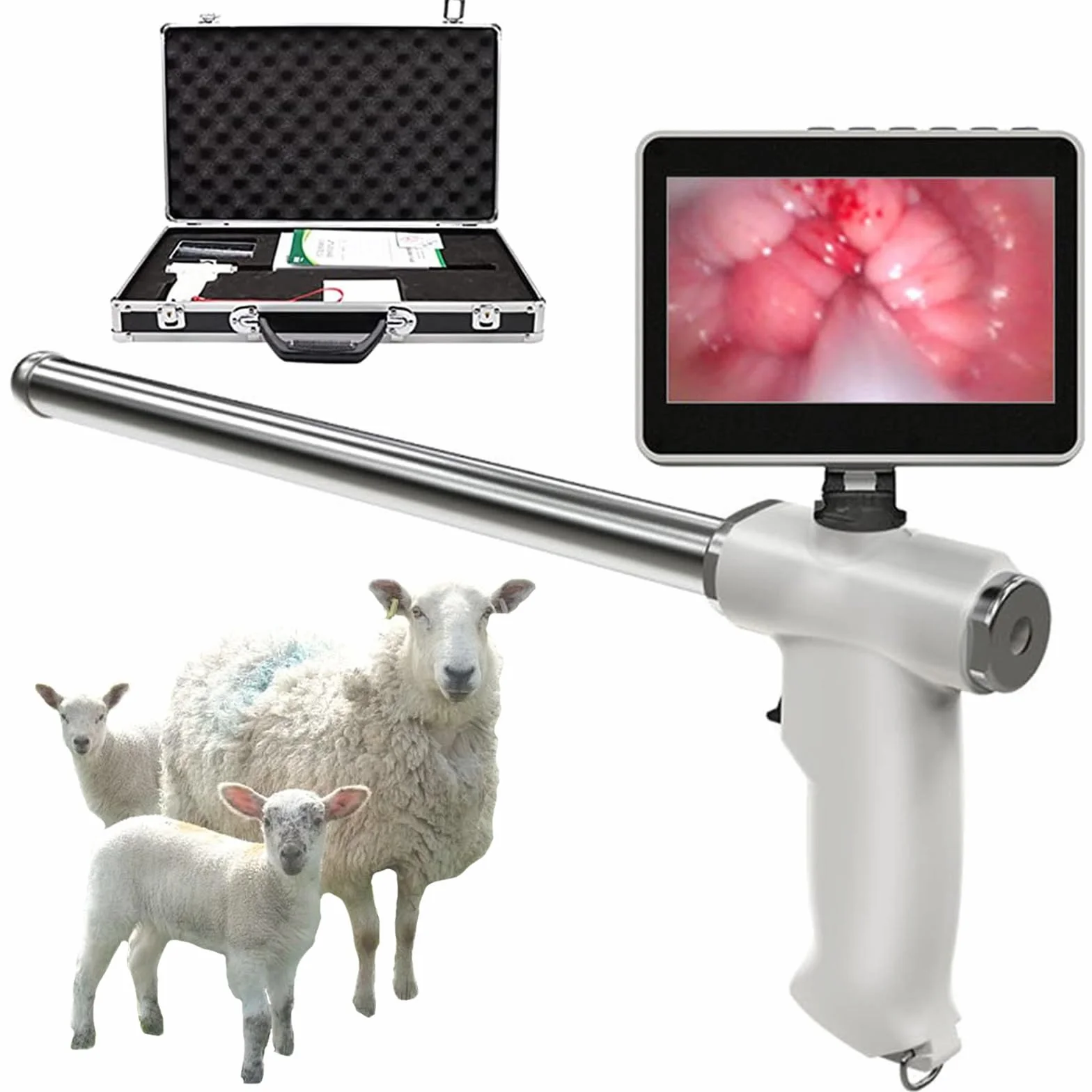 Pistolet do sztucznej inseminacji dla kóz i owiec, zestaw wizualny z ekranem LED 360°, kamera 15 MP, narzędzie do hodowli weterynaryjnej, stała temperatura